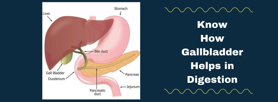Gallbladder Removal Surgery In Chennai