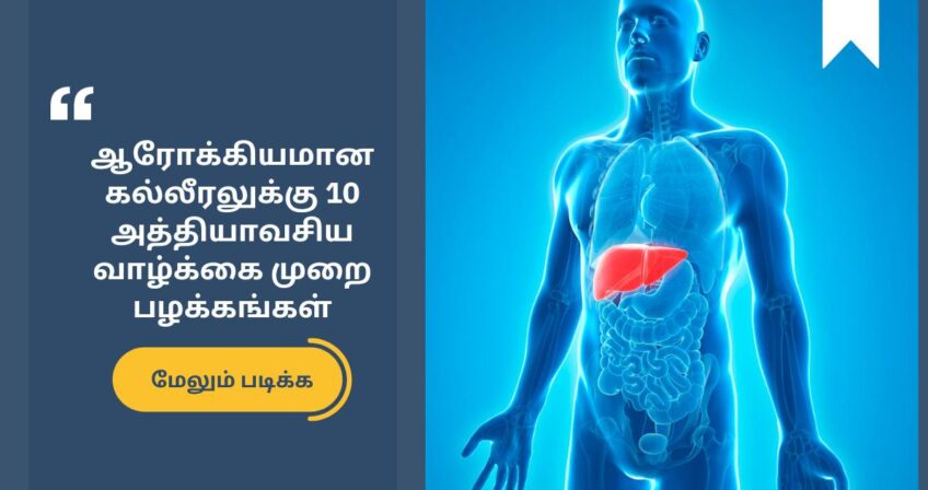 Bariatric Surgeon In Chennai Gi And Bariatric Surgery Dr Maran